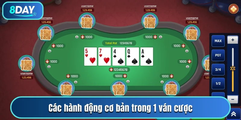 Các hành động cơ bản trong 1 ván cược