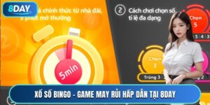 Xổ số Bingo